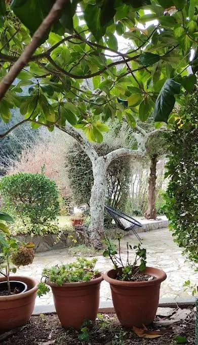 Can Matret, Casa Amb Jardi En Un Entorn Rural Osor